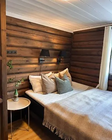 Vikinggrenda 1 Walking Distance To Everything Ski In Ski Out Tatil Evi